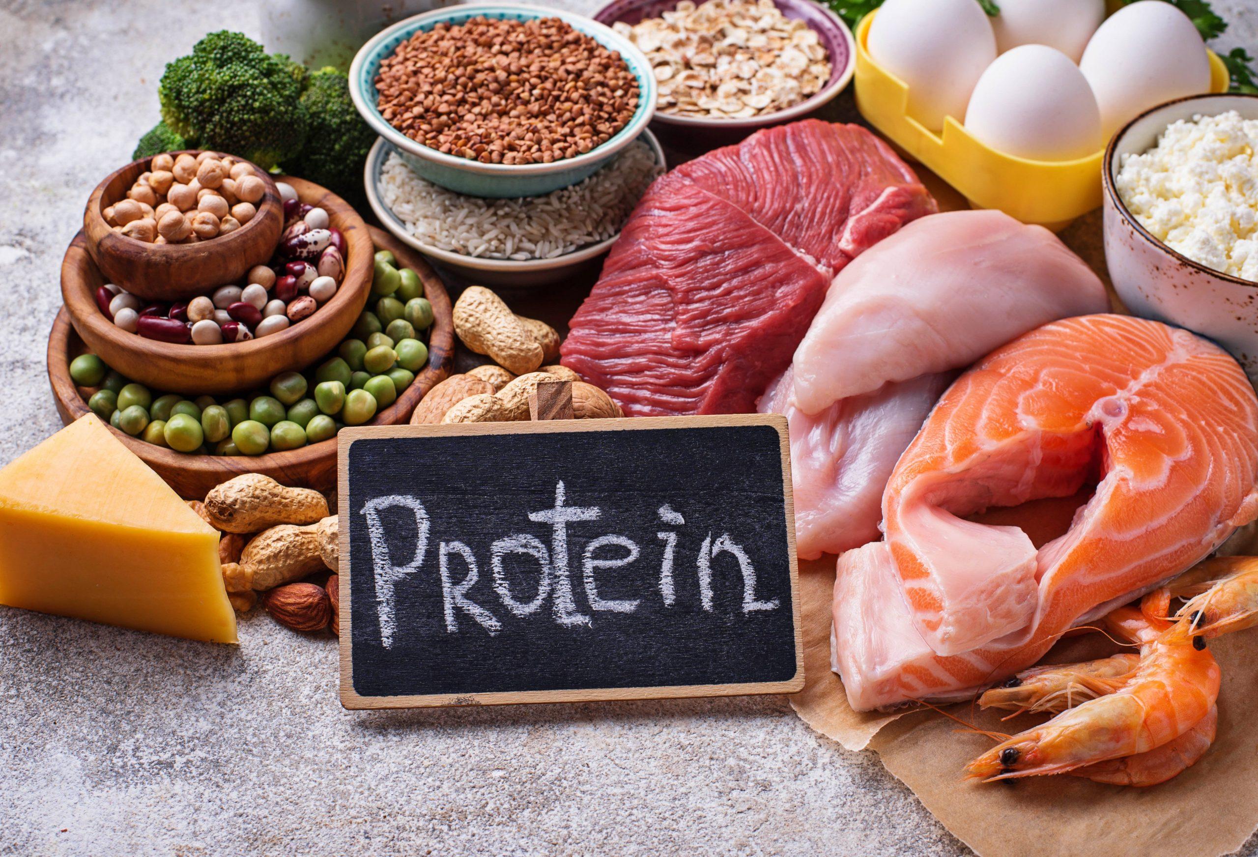 Dieta pe Baza de Proteine